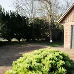 Ferienhaus Sonnenküken